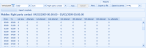 Example Report